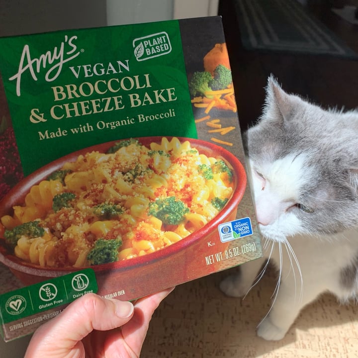 photo of Amy’s Vegan broccoli & cheeze bake shared by @allhess on  09 May 2023 - review