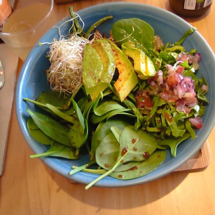 photo of Gallo Santo Quinoa Bowl shared by @aretusa on  15 Apr 2023 - review