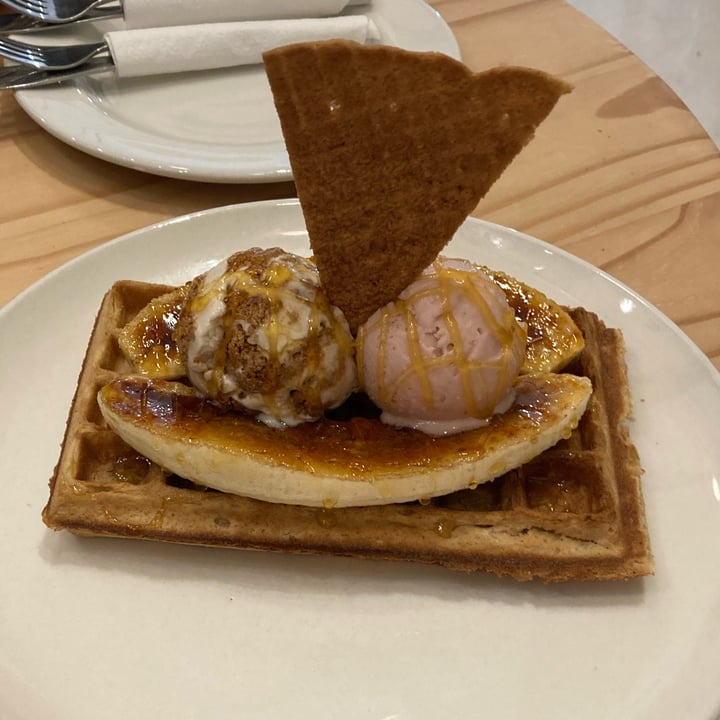 photo of ditto Vegan Waffles and Ice Cream shared by @catherinews on  30 Jun 2023 - review