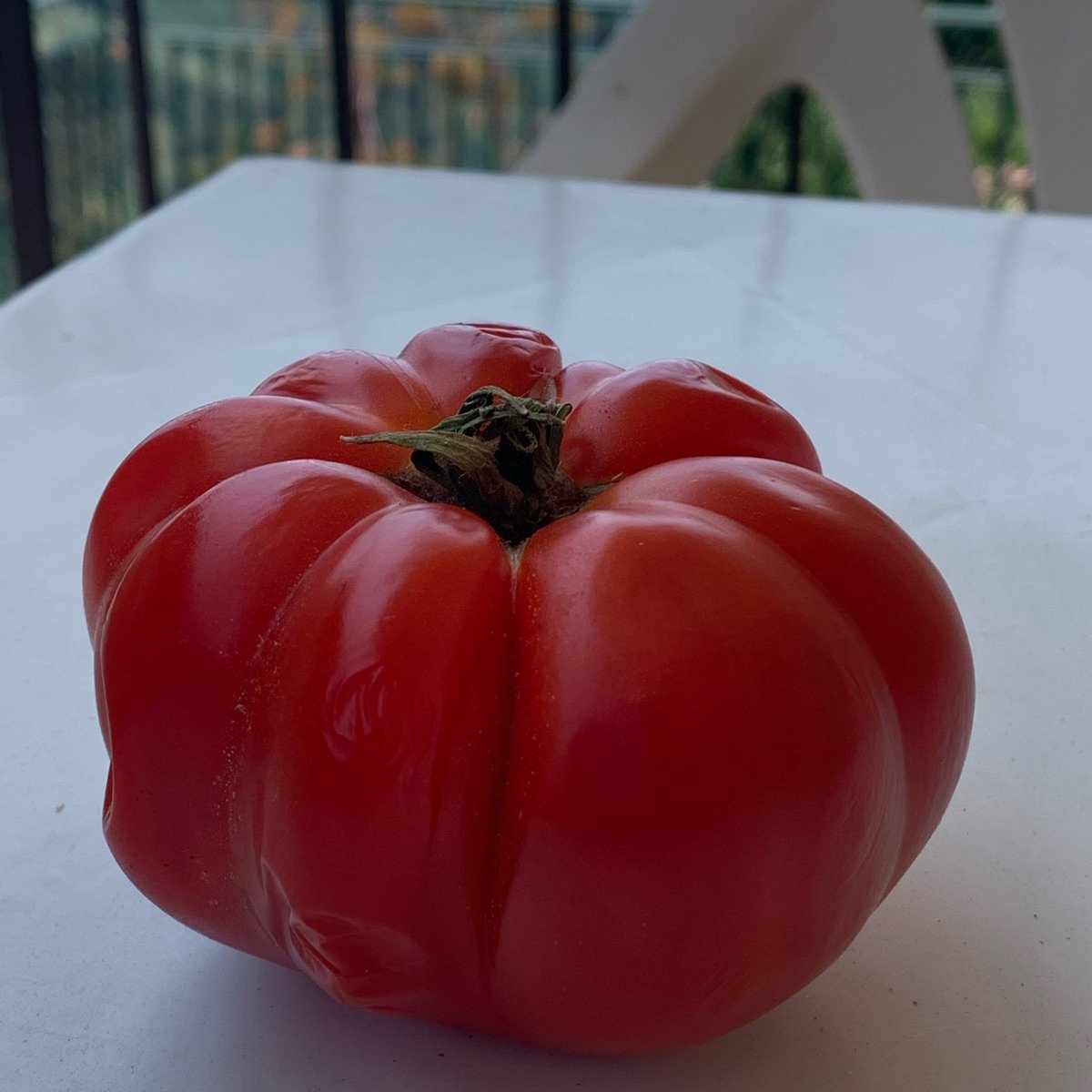 pomodoro riccio at leto market - Review by @unejanie | abillion