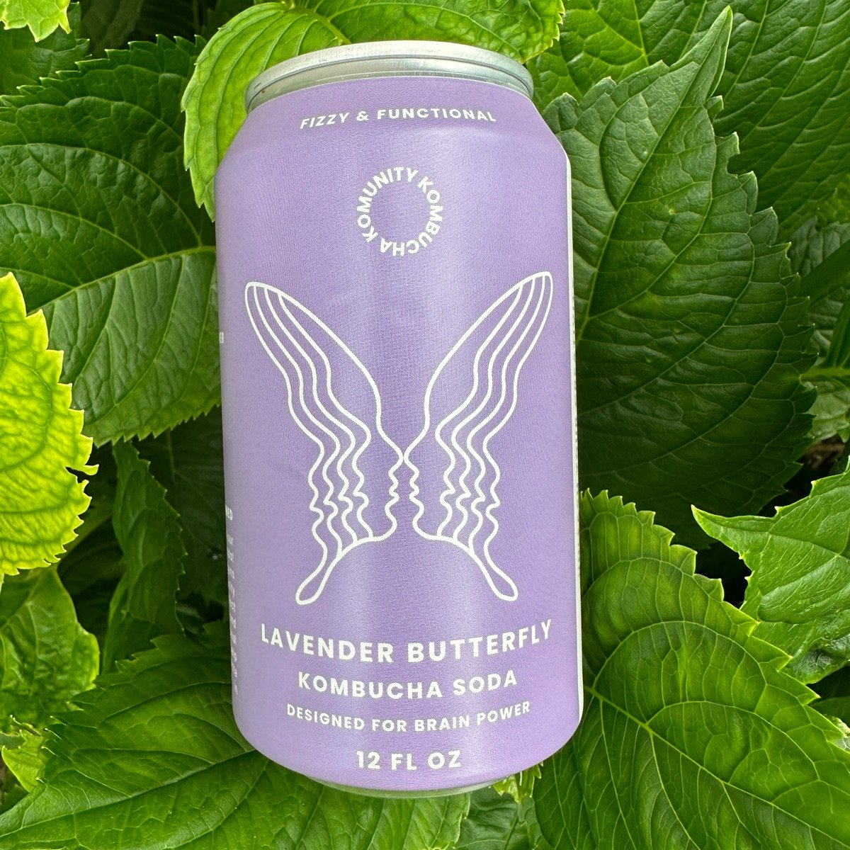 Komunity Kombucha Lavender Butterfly Review abillion