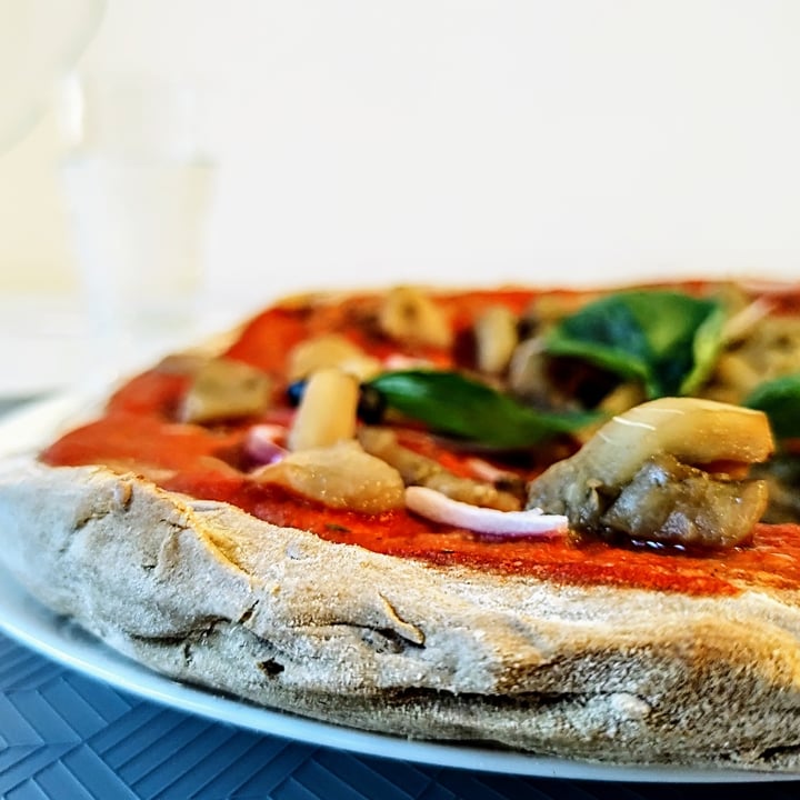 photo of Tre Mulini Base Per Pizza Ai Grani Antichi shared by @rosemarino on  16 Aug 2023 - review