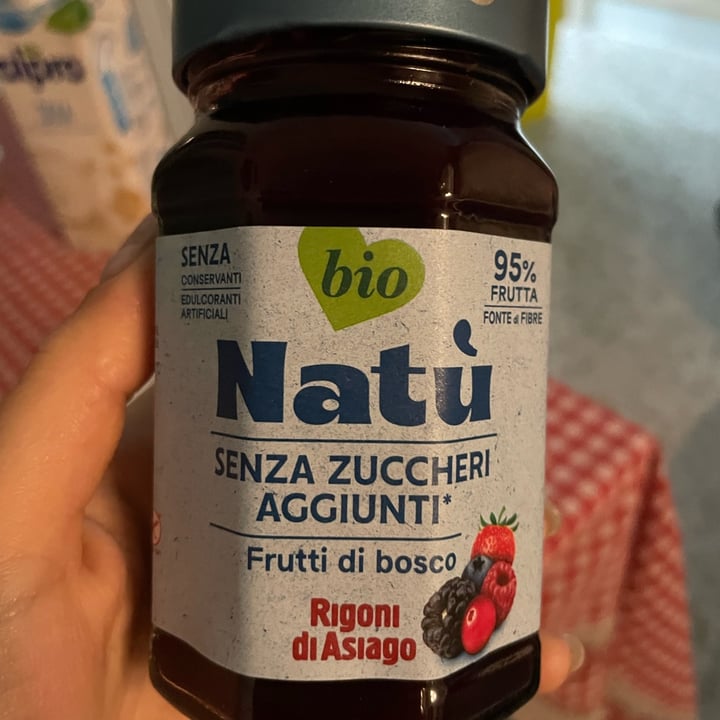 photo of Rigoni di Asiago Natù ai frutti di bosco shared by @antonellabattaglia on  06 Apr 2023 - review