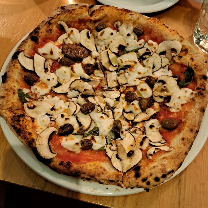 photo of Pizzeria Libretto - Junction Custom Vegan Pizza with Black Olives and Mushrooms shared by @svraphael88 on  30 Jan 2023 - review