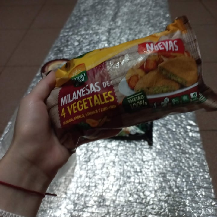 photo of Granja del Sol milanesas De Cuatro Vegetales shared by @j4dorekyun on  03 Jan 2023 - review