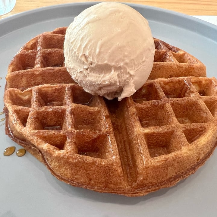 photo of Lilac Oak Waffles shared by @chrysx on  06 Apr 2023 - review