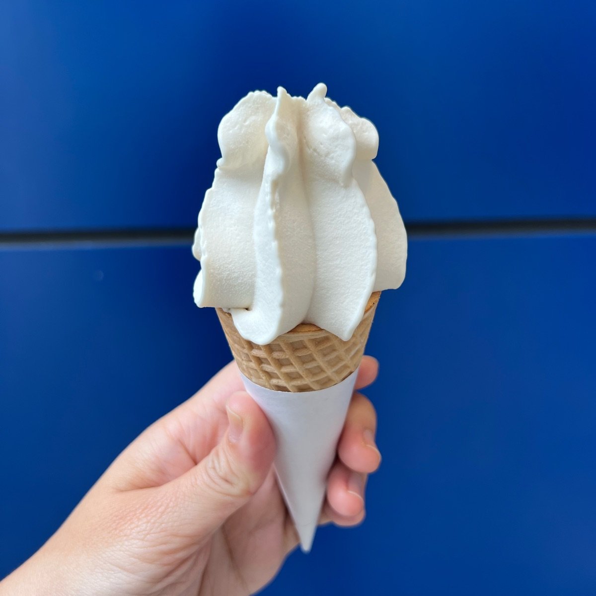 Ikea Restaurant Cheras Kuala Lumpur Top Rated Vegan Dishes Reviews