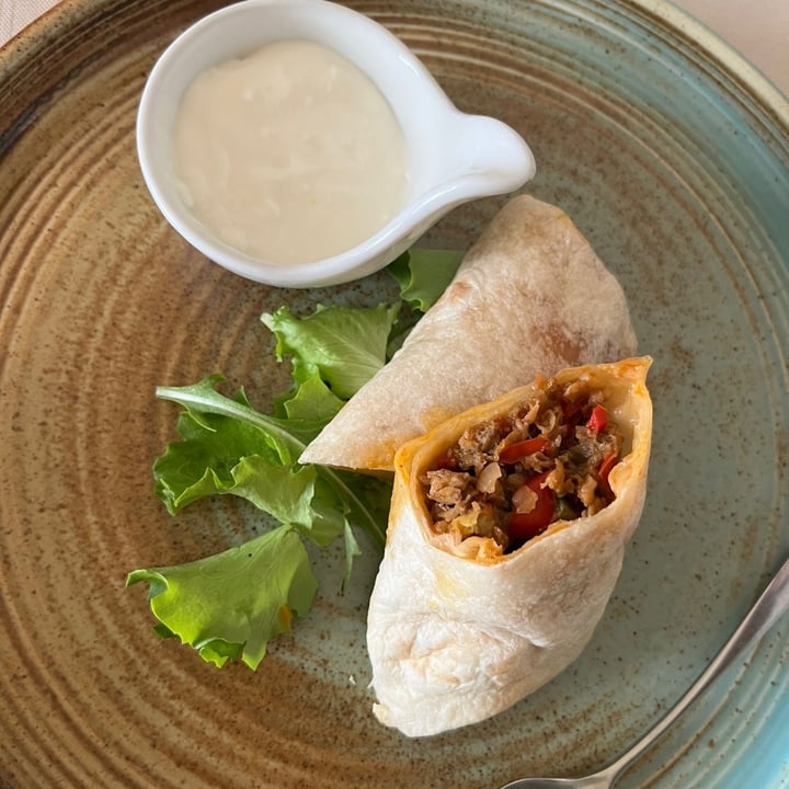 photo of Pesto di Pistacchio burrito Con Ripieno Di Macinato Vegetale E Peperone Rosso Con Panna Acida E Guacamole shared by @ppiera on  25 Apr 2023 - review