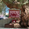 Pepper Tree Art Stable & Coffee Shop