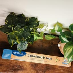 Folistar