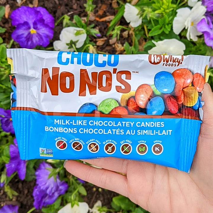photo of No Whey! Foods Choco No No's shared by @veggieassassin on  09 May 2023 - review