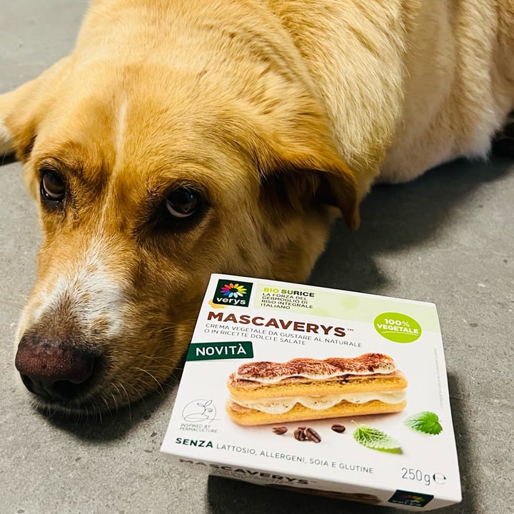 photo of Verys Mascaverys shared by @nicole- on  19 Jun 2023 - review