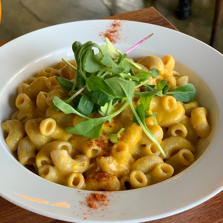 photo of Vegetus Mac n cheese shared by @katrinachew on  19 Jun 2023 - review