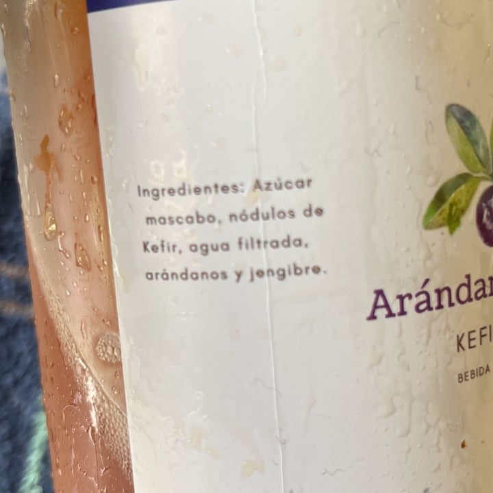 photo of Kefir Pura Vida Kefir de arándanos y jengibre shared by @victoriavillar on  27 Apr 2023 - review