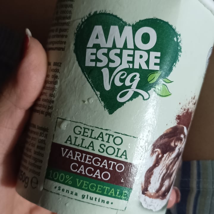photo of Amo Essere Veg gelato alla soia cioccolato shared by @miao on  15 Jun 2023 - review