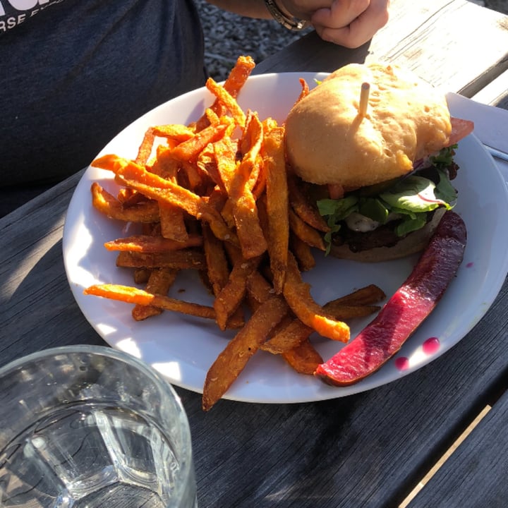 photo of Planted in Hamilton classic planted burger shared by @sueprozak on  11 Aug 2023 - review