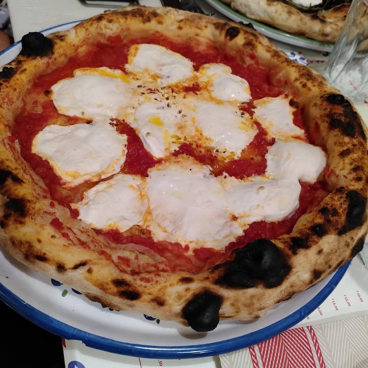 photo of Pizzium - Bologna Pizza margherita Vegana (Mozzarella Dream Farm) shared by @walkabout-veg on  04 Aug 2023 - review