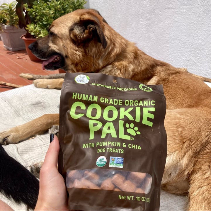 Cookie Pal Human Grade Organic Pumpkin & Chia Biscuits Review abillion