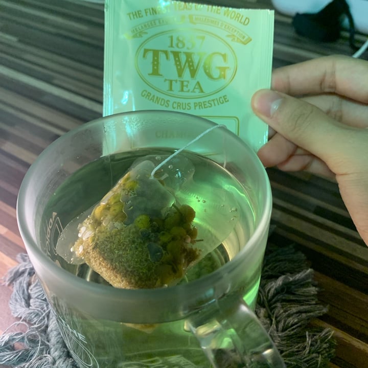 photo of TWG Tea Chamomile Tea shared by @turtleisland on  09 Mar 2023 - review