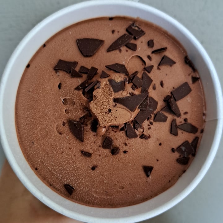 photo of Hacendado Helado de Chocolate shared by @penoucos on  31 May 2023 - review