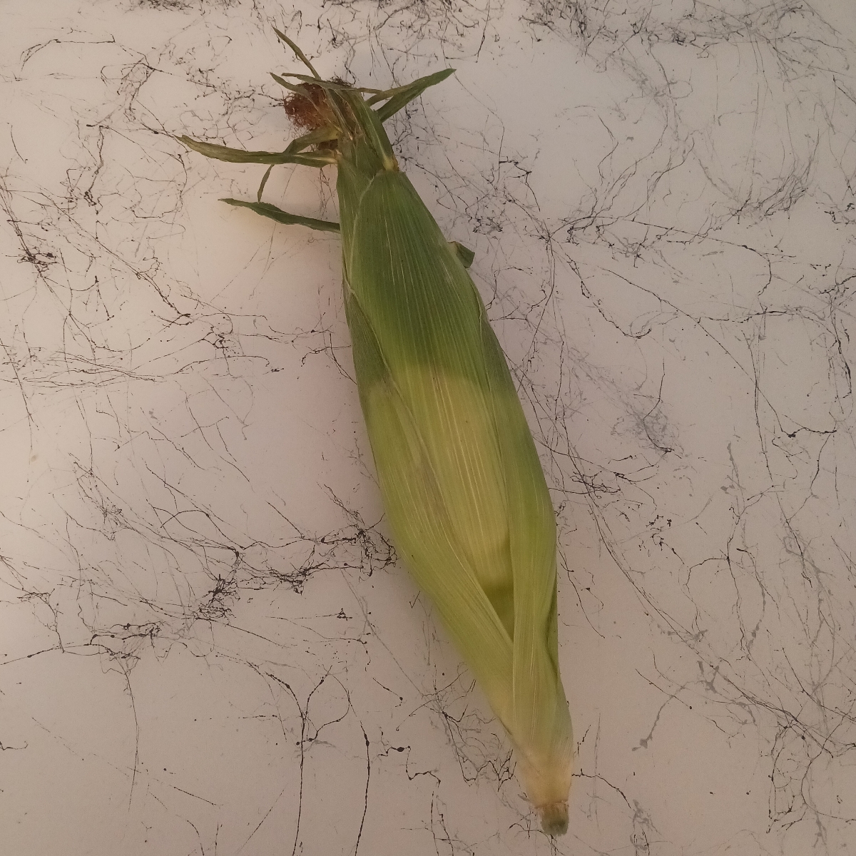 Great Value Corn Cob Reviews abillion