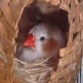@argiroulios profile image