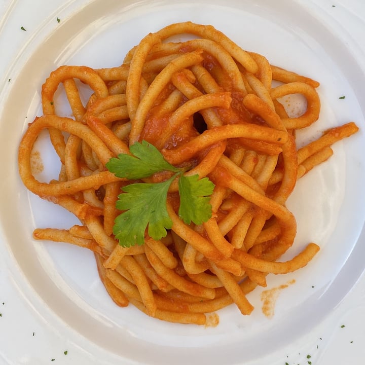 photo of La Biscondola Di Volpini Stefania & C Pici all’aglione shared by @avittor on  22 Mar 2023 - review