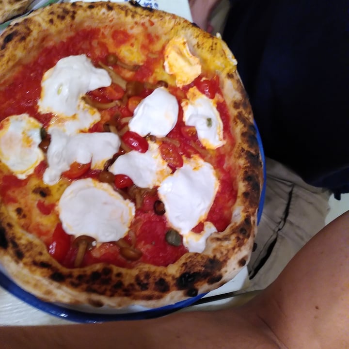 photo of Pizzium - Bologna Margherita e capperi shared by @walkabout-veg on  04 Aug 2023 - review