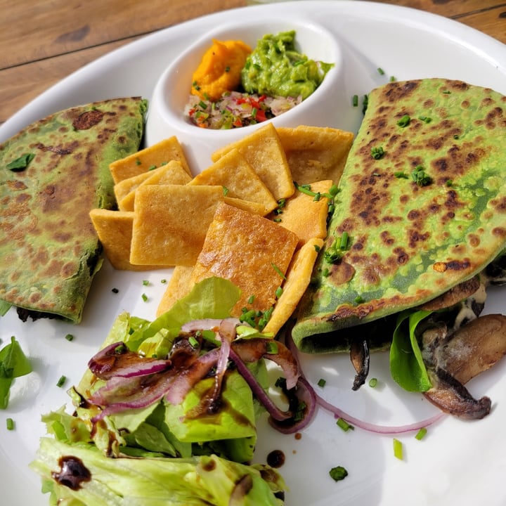 photo of Zucchini Quesadilla De Hongos shared by @aguschillemi on  05 Aug 2023 - review