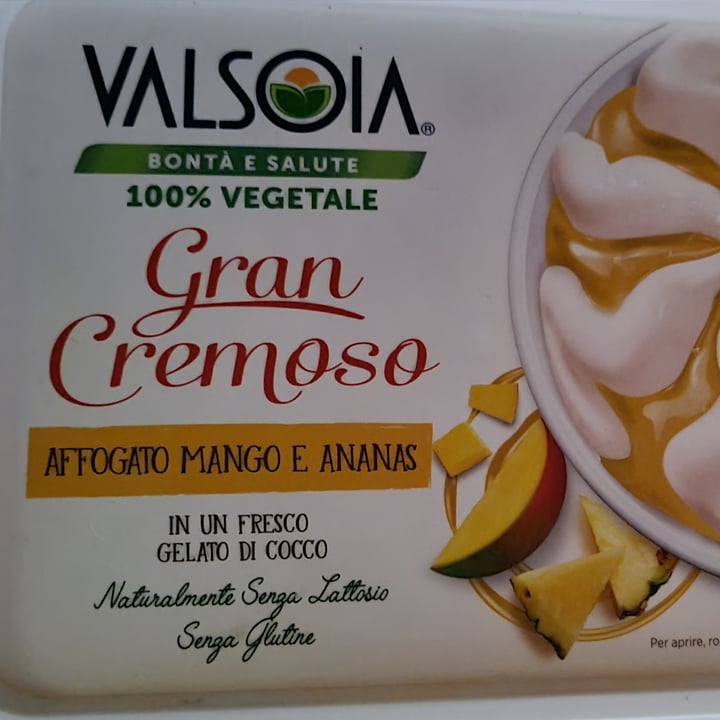 photo of Valsoia Gelato affogato mango ananas shared by @arip30 on  13 Aug 2023 - review