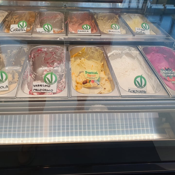 photo of Bar Gelateria Pasticceria Oasi gelato vegan shared by @tofufan75 on  05 Jul 2023 - review