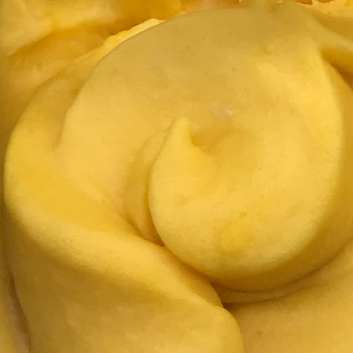 photo of Freddo Sorbetto di mango shared by @anapaulamr on  22 Mar 2023 - review