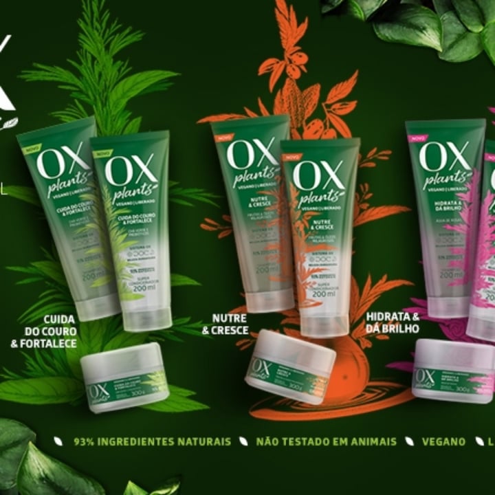 photo of Ox plants Shampoo shared by @teodoromajuu on  13 May 2023 - review