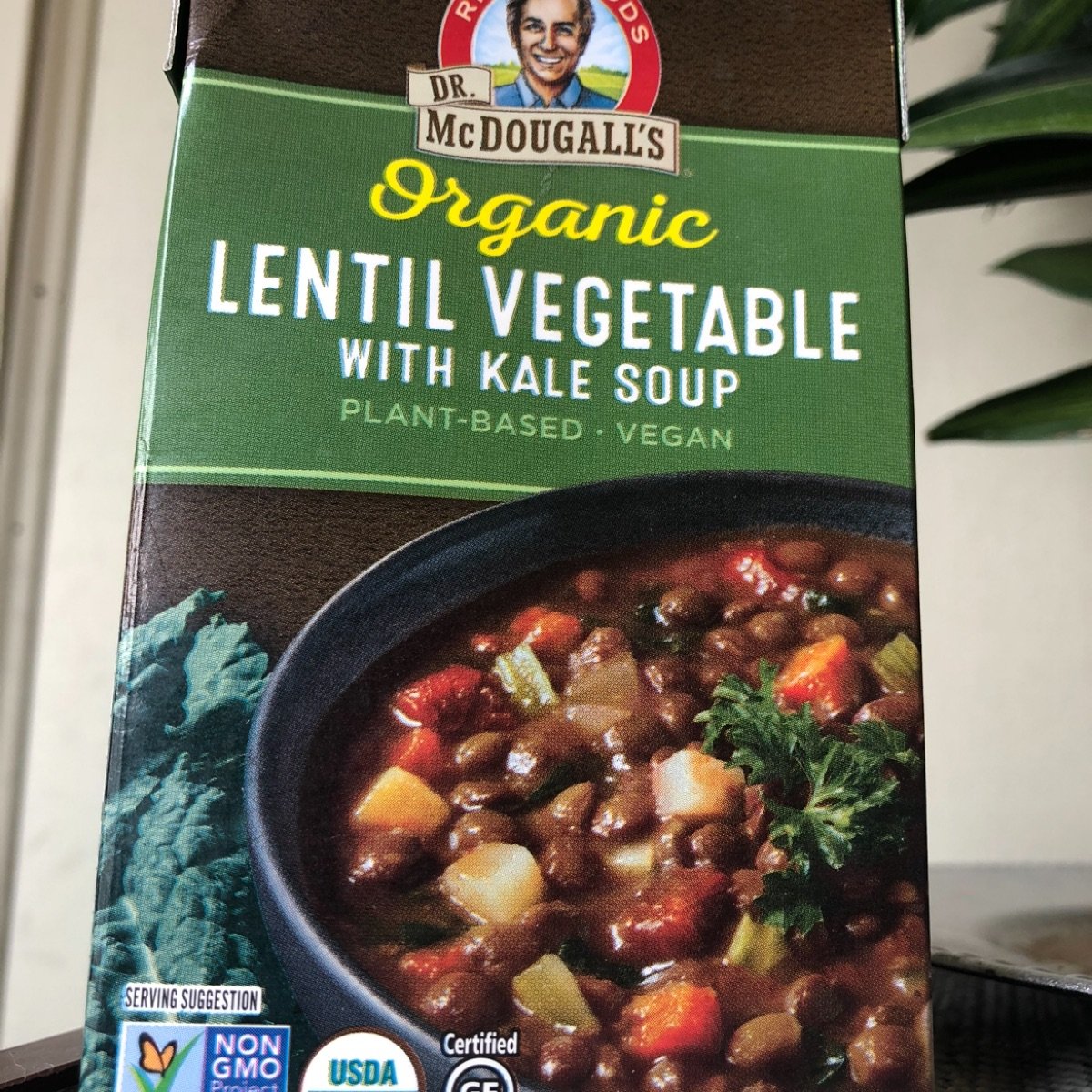Organic Lentil Vegetable with Kale Soup