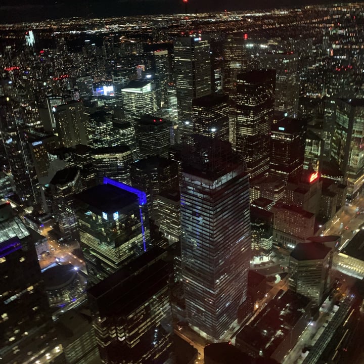 photo of 360 The Restaurant at the CN Tower Chickpea Frites shared by @vegandidsystem on  03 Apr 2023 - review