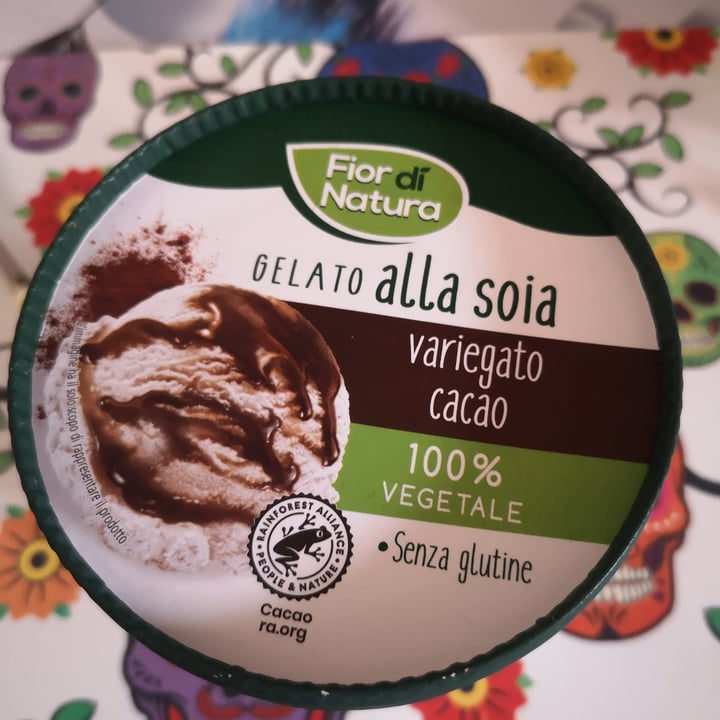 photo of Fior di Natura gelato alla soia variegato al cacao shared by @francescathestrange on  14 May 2023 - review