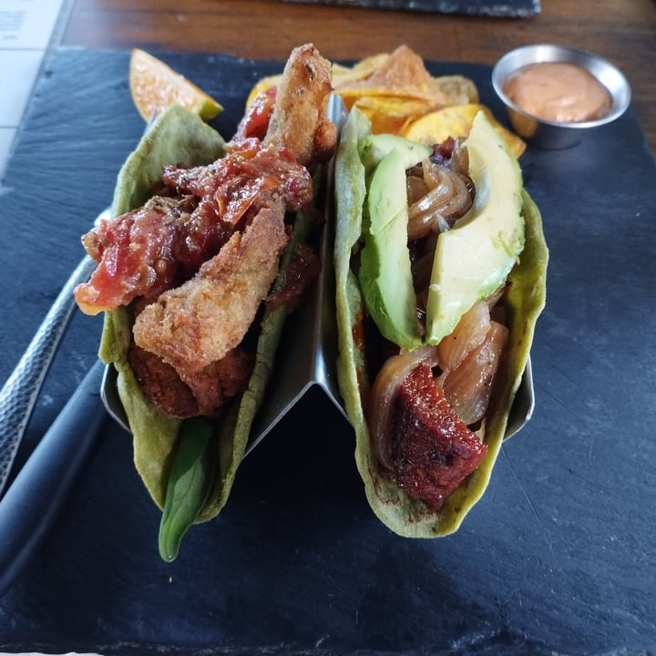 photo of Almendra plant based cuisine tacos shared by @lyn-v on  26 Feb 2023 - review