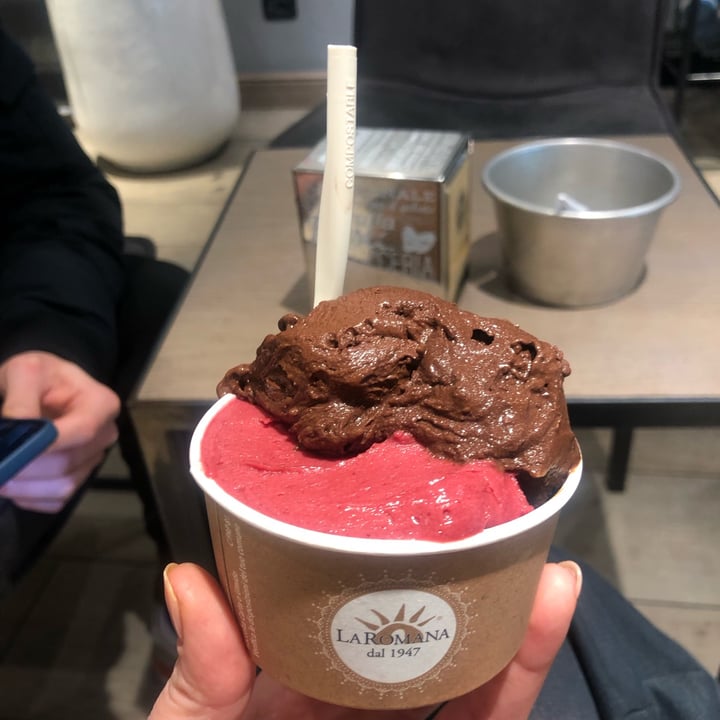 photo of Gelateria La Romana Gelato Frutti Di Bosco e Cioccolato Fondente Ecuador shared by @caterina-rt on  28 Jan 2023 - review