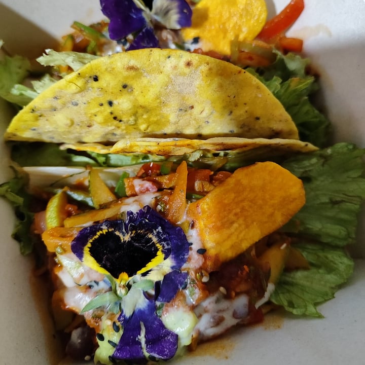 photo of Chia Vegan Restaurant Mixed Tacos shared by @littleredmushroom on  21 Apr 2023 - review