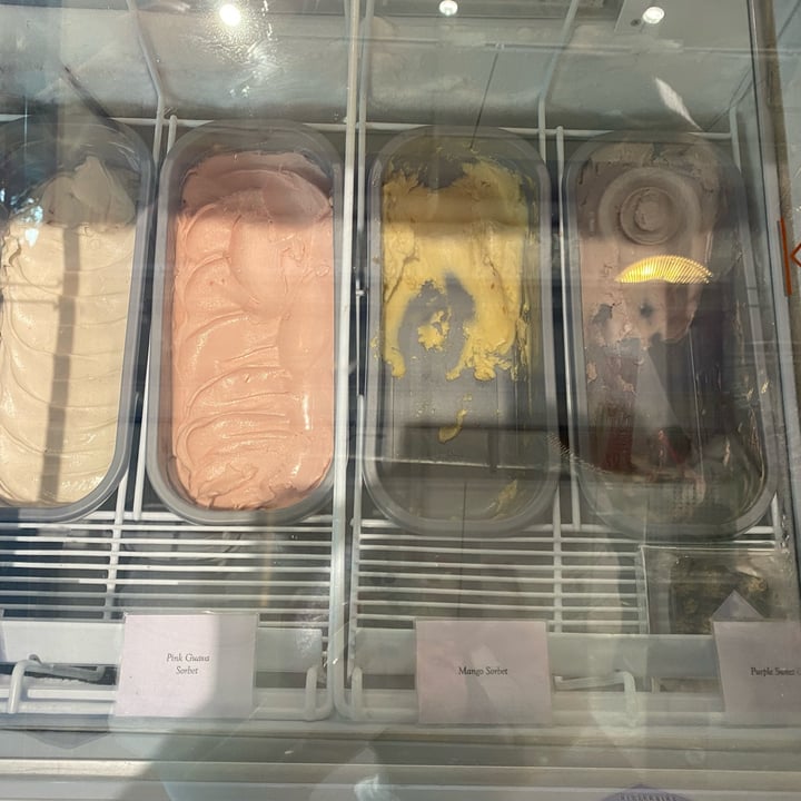 photo of Lilac Oak Marron (chestnut) gelato shared by @dubudubu on  02 Mar 2023 - review