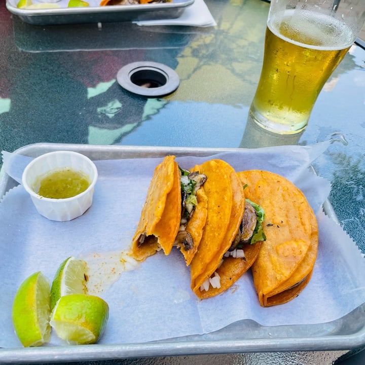 photo of Wolf & Warrior Brewing Co. Mushroom Tacos shared by @cjfearer on  09 Aug 2023 - review