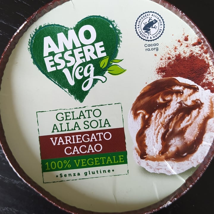 photo of Amo Essere Veg gelato alla soia cioccolato shared by @susanita on  08 Jul 2023 - review