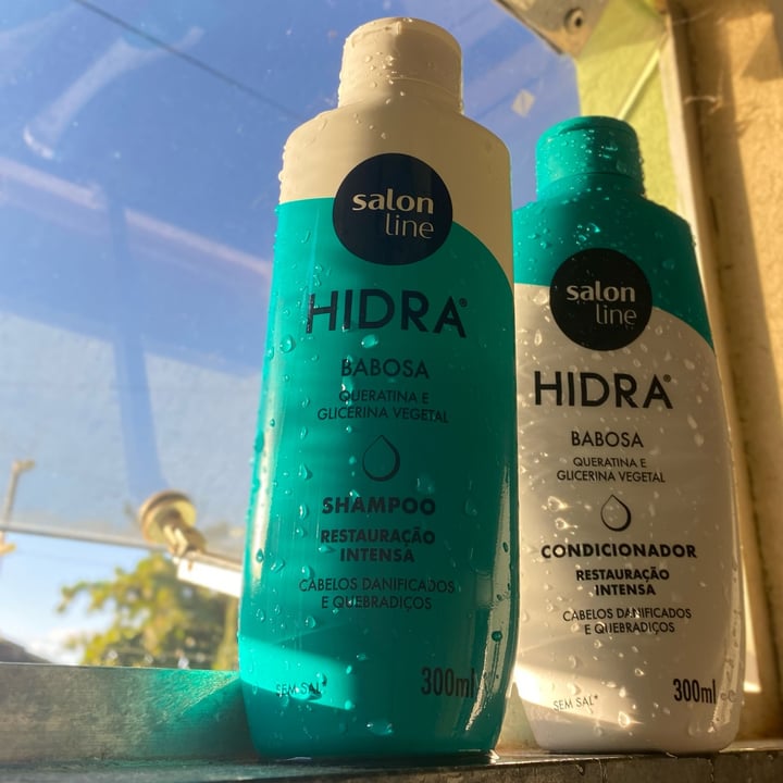 photo of Salon line Combo Hidra Babosa Shampoo E Condicionador shared by @blessedtiger53 on  25 May 2023 - review
