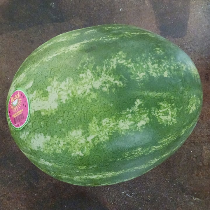 photo of Sweet Summertime Seedless Watermelon shared by @heartartichokehearts on  02 Jun 2023 - review