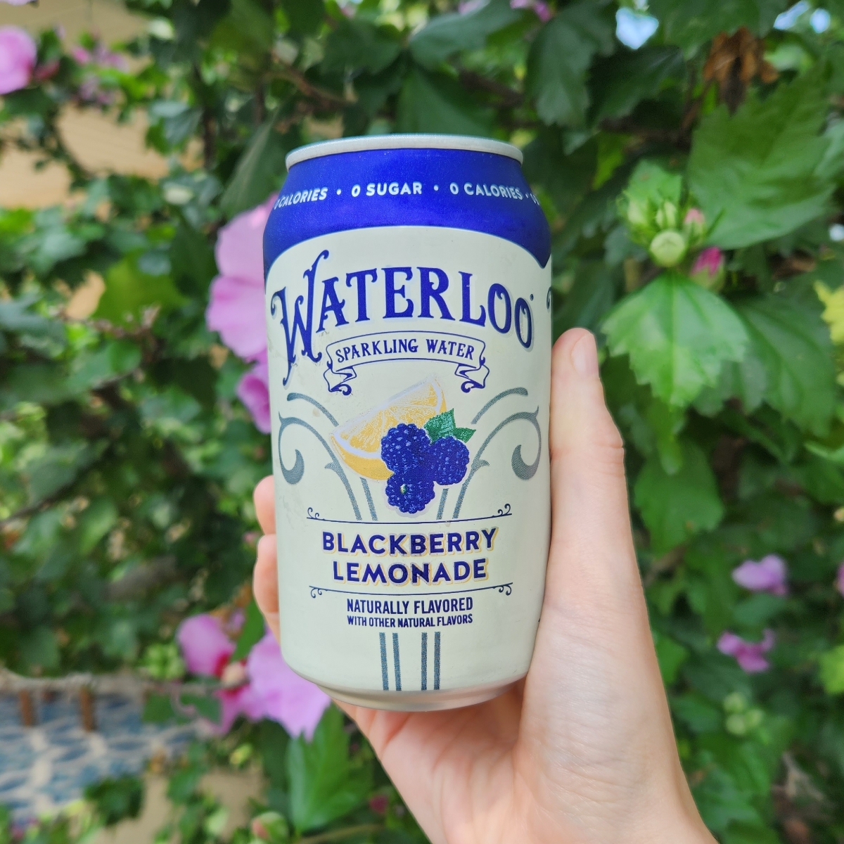 Waterloo blackberry lemonade sparkling water Reviews abillion
