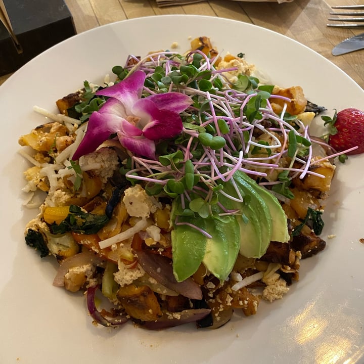 photo of Gabriel's Cafe veganized Hash Special with Orchid shared by @malarky on  06 Mar 2023 - review