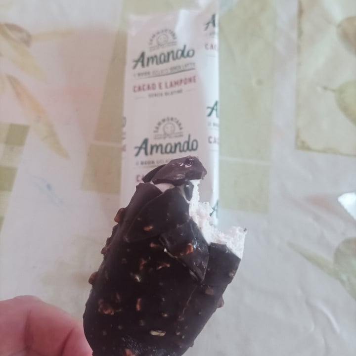 photo of Amando Cacao E Lampone Senza Glutine shared by @silviascanavacca on  31 Jul 2023 - review
