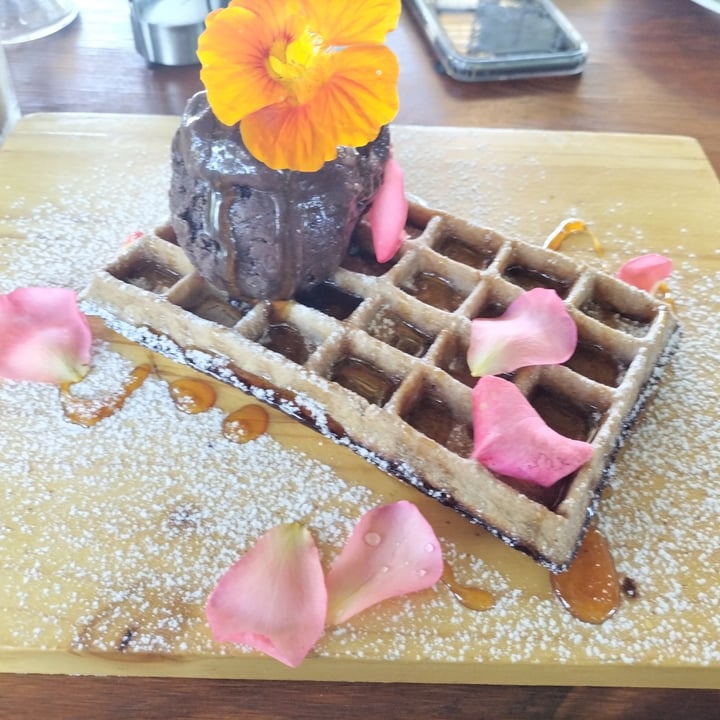 photo of The Herb Cafe Vegan waffle with Chocolate Nice Cream shared by @cjandersenpost on  24 Jan 2023 - review