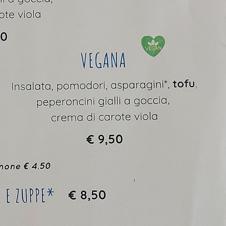 photo of La Cafferia di Novara Insalata vegana shared by @lauzab on  04 May 2023 - review