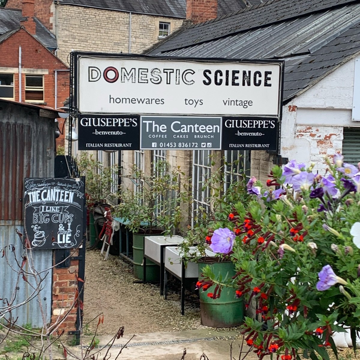 The Canteen coffee walnut muffin Reviews abillion